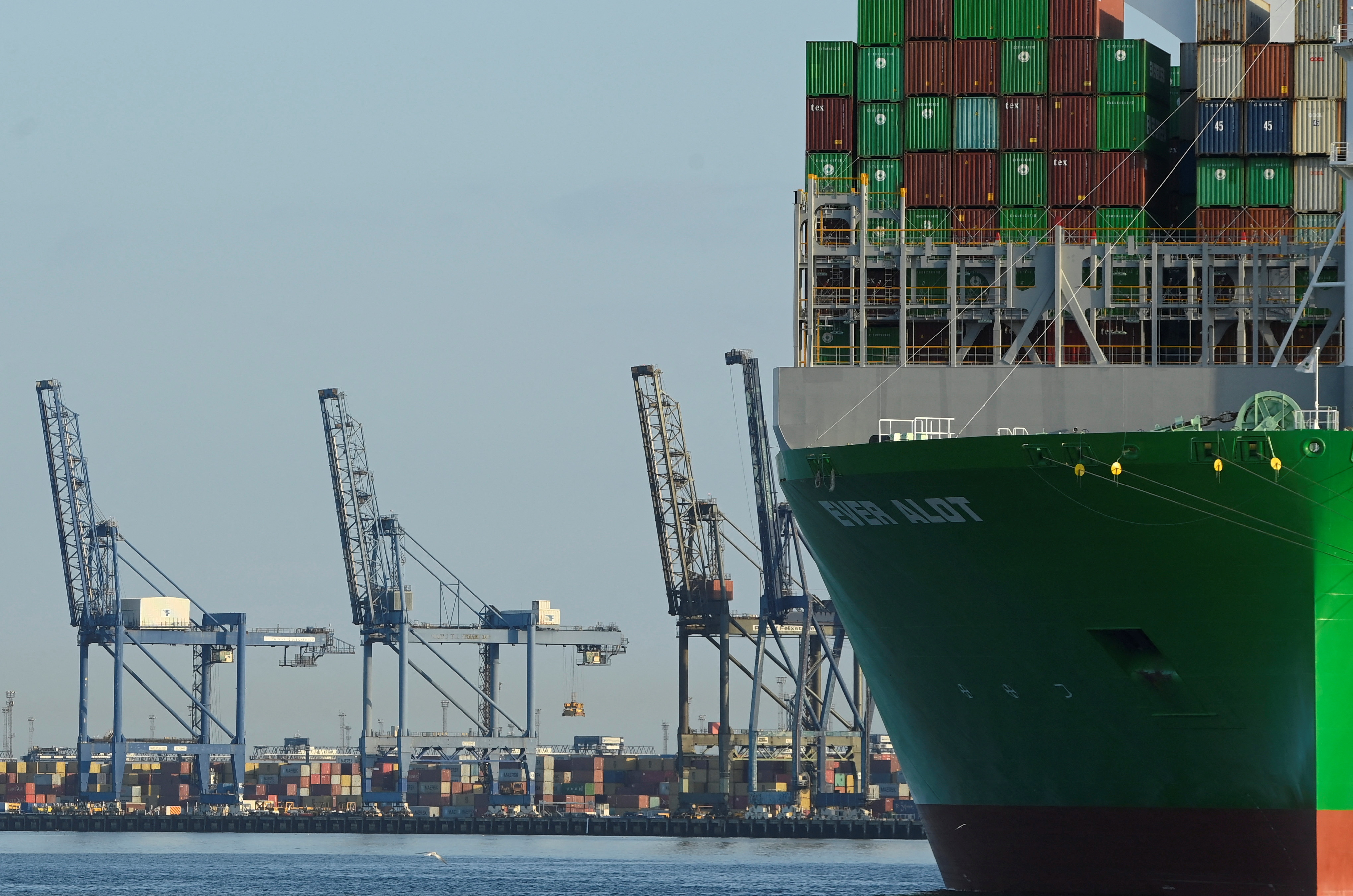 A container ship is docked next to cranes at UK's biggest container port Felixstowe in Felixstowe