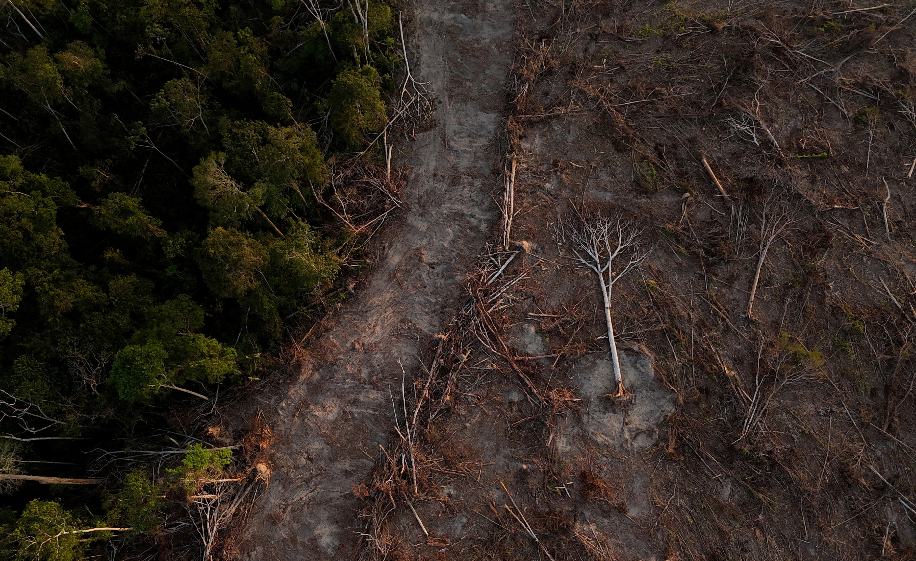 FILE PHOTO: Brazilian farmers are pushing soy crops deeper into Amazon, in Santarem