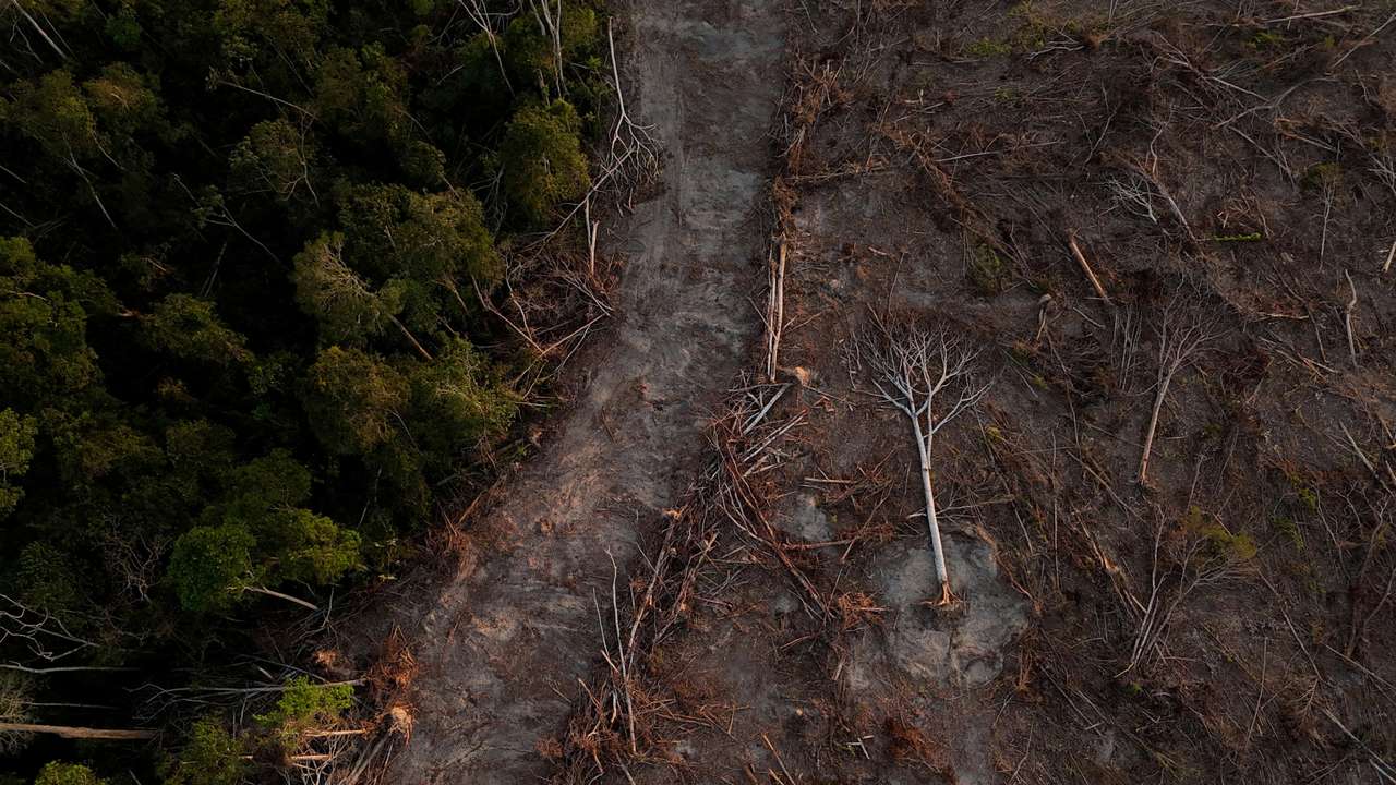 FILE PHOTO: Brazilian farmers are pushing soy crops deeper into Amazon, in Santarem