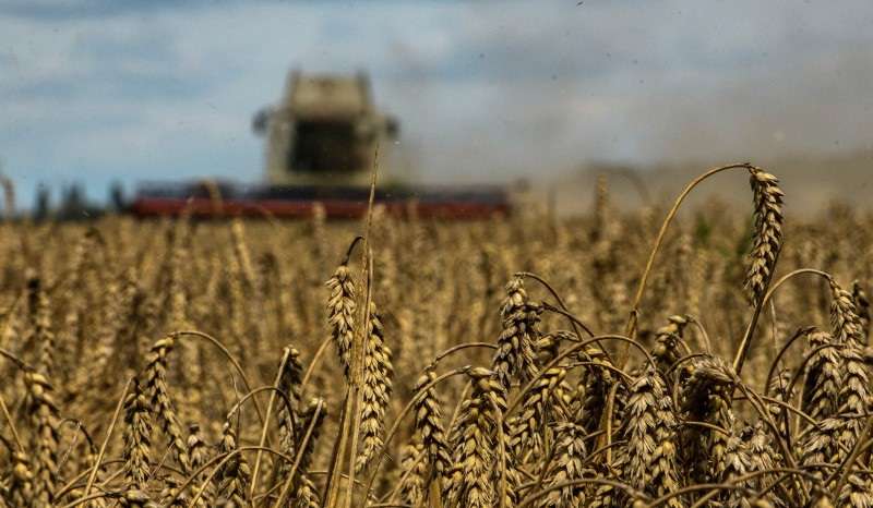 FILE PHOTO: Wheat harvesting in Kyiv region amid Russia's attack on Ukraine