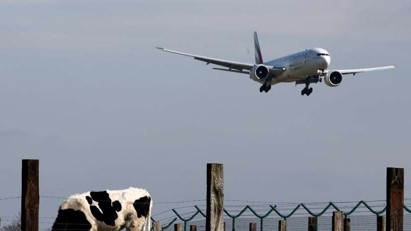 An Emirates airline's aircraft prepares to land at Belgium International Airport in Zaventem