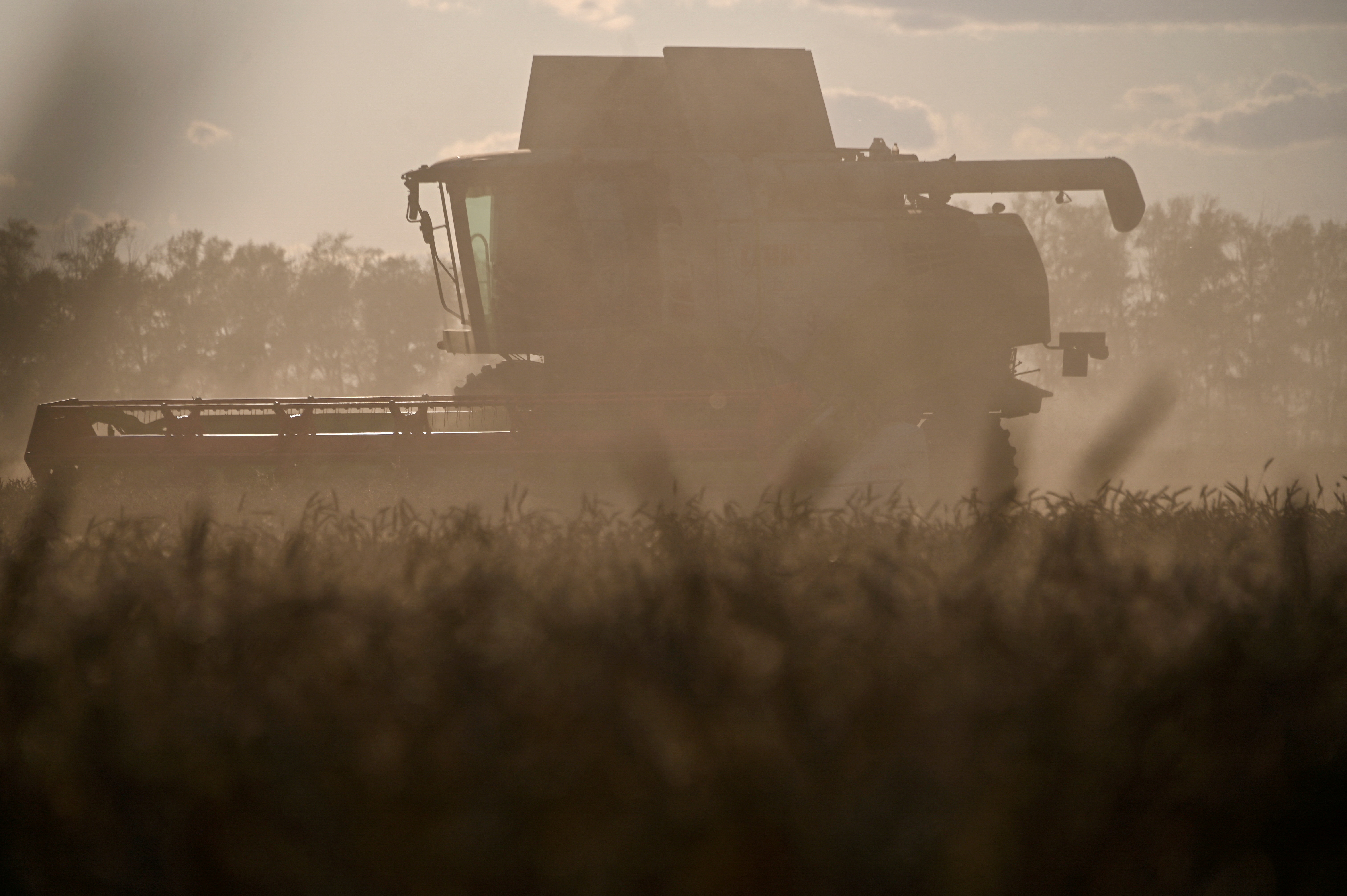 FILE PHOTO: Wheat harvest in Omsk region
