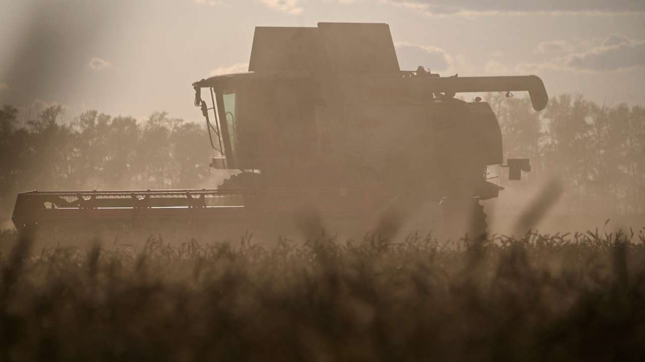 FILE PHOTO: Wheat harvest in Omsk region