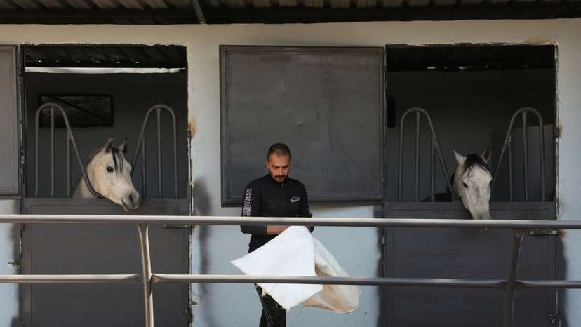 Farhan al-Khouli, Syrian military conscript who deserted his post on the first day of the rebel offensive, walks at a horse stable in Damascus