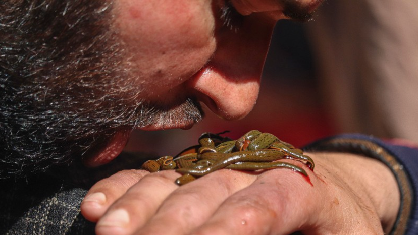 Screenshot 2025-03-23 at 11.57.58