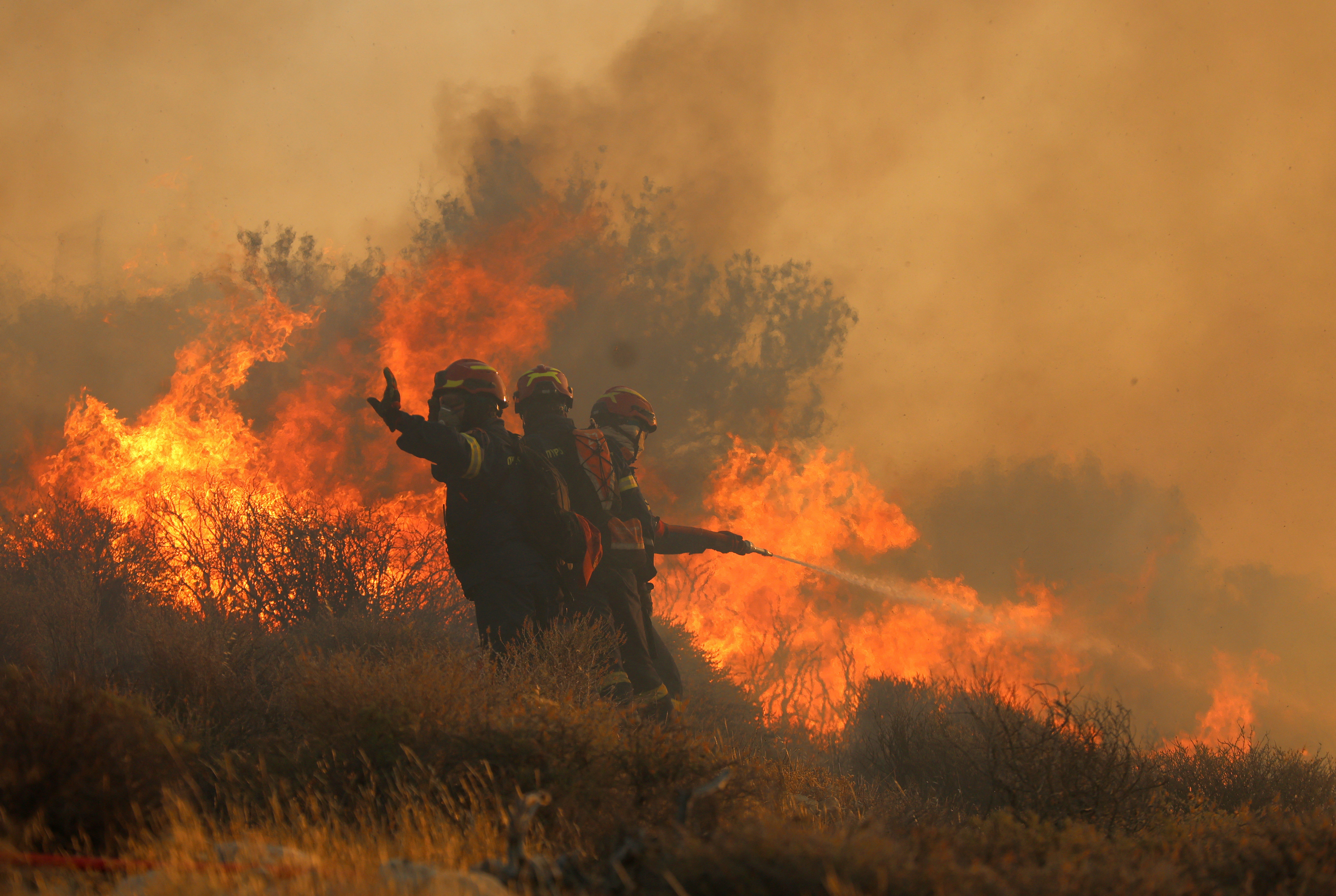Wildfire burns in Ierapetra on the island of Crete