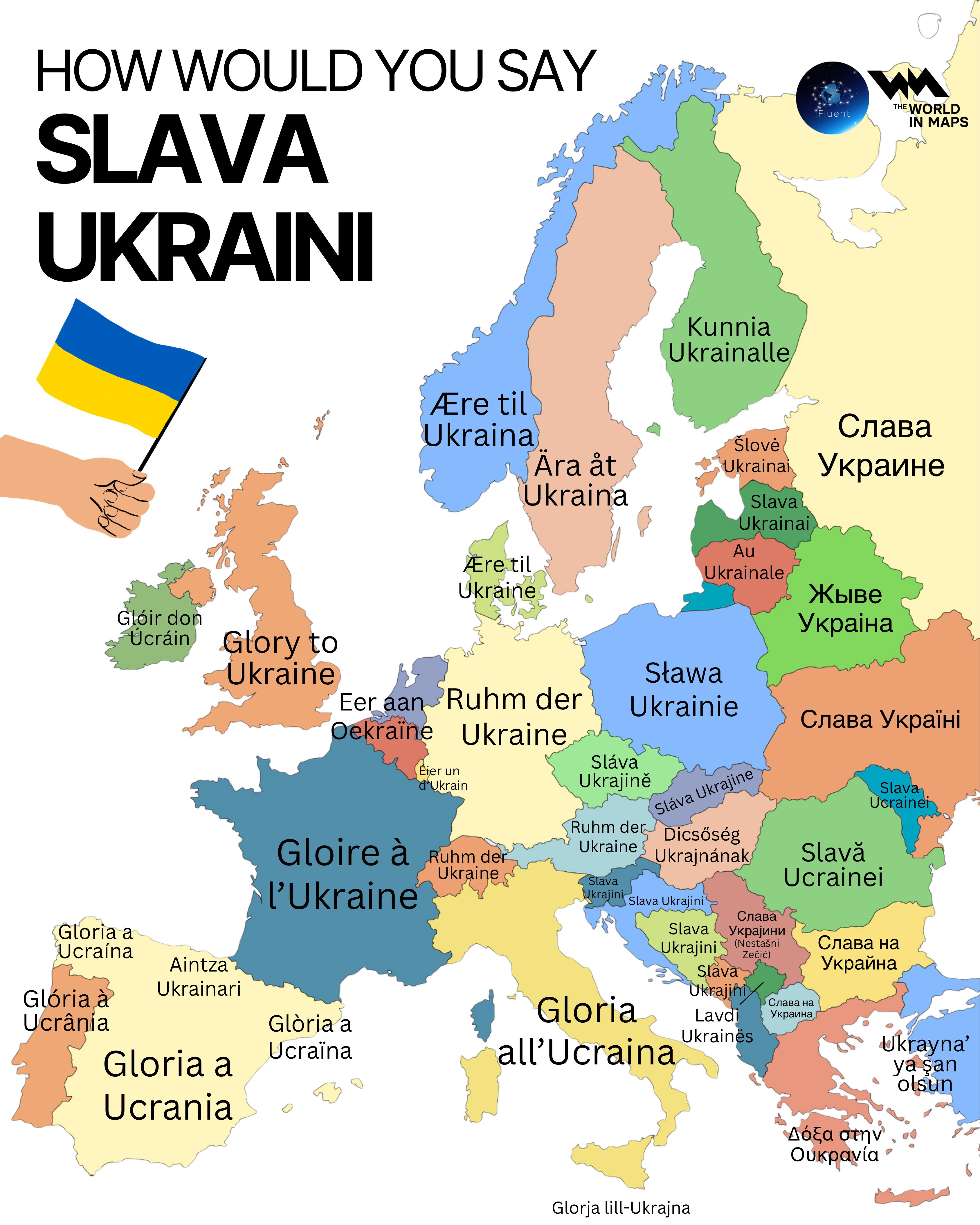 WhatsApp Image 2026-02-25 at 16.44.11