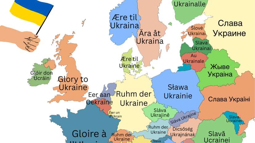 WhatsApp Image 2026-02-25 at 16.44.11