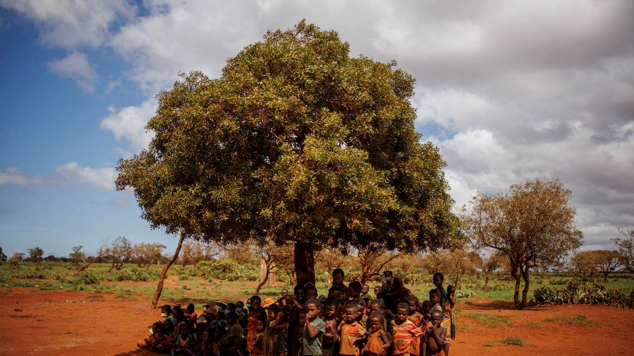 FILE PHOTO: A green island turns red: Madagascans struggle through long drought