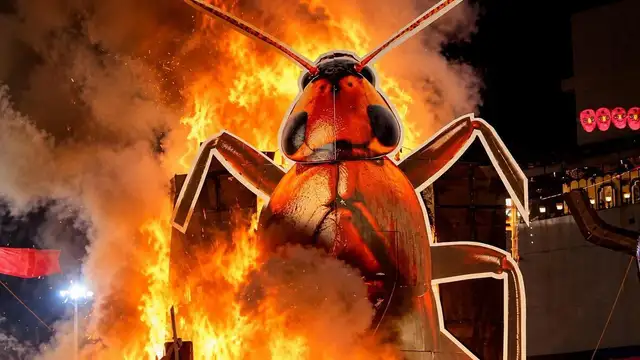 Thirty-Foot Cockroach Set Ablaze in New Delhi