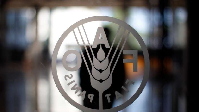 FAO's logo is seen at the FAO headquarters in Rome
