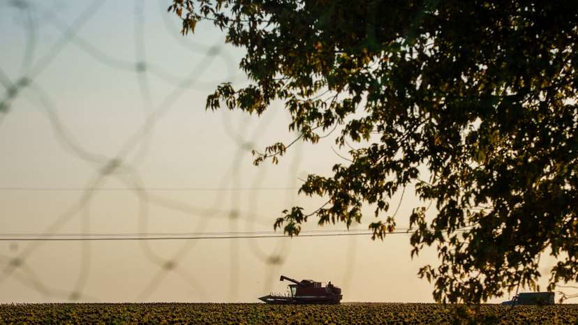 FILE PHOTO: Combine harvests sunflowers in a field next to a road covered with an anti-drone net in Donetsk region