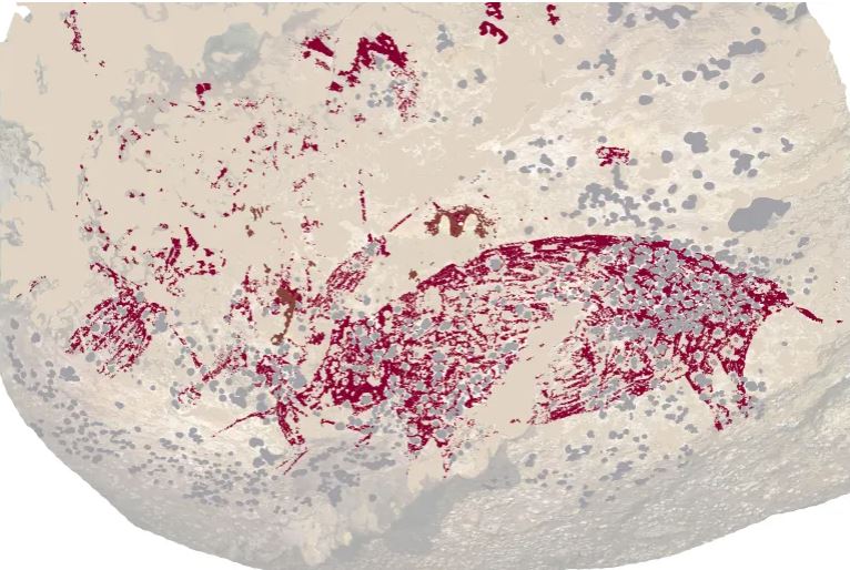 The painting found in the Sulawesi cave is dominated by a large red pig [Griffith University via AFP]