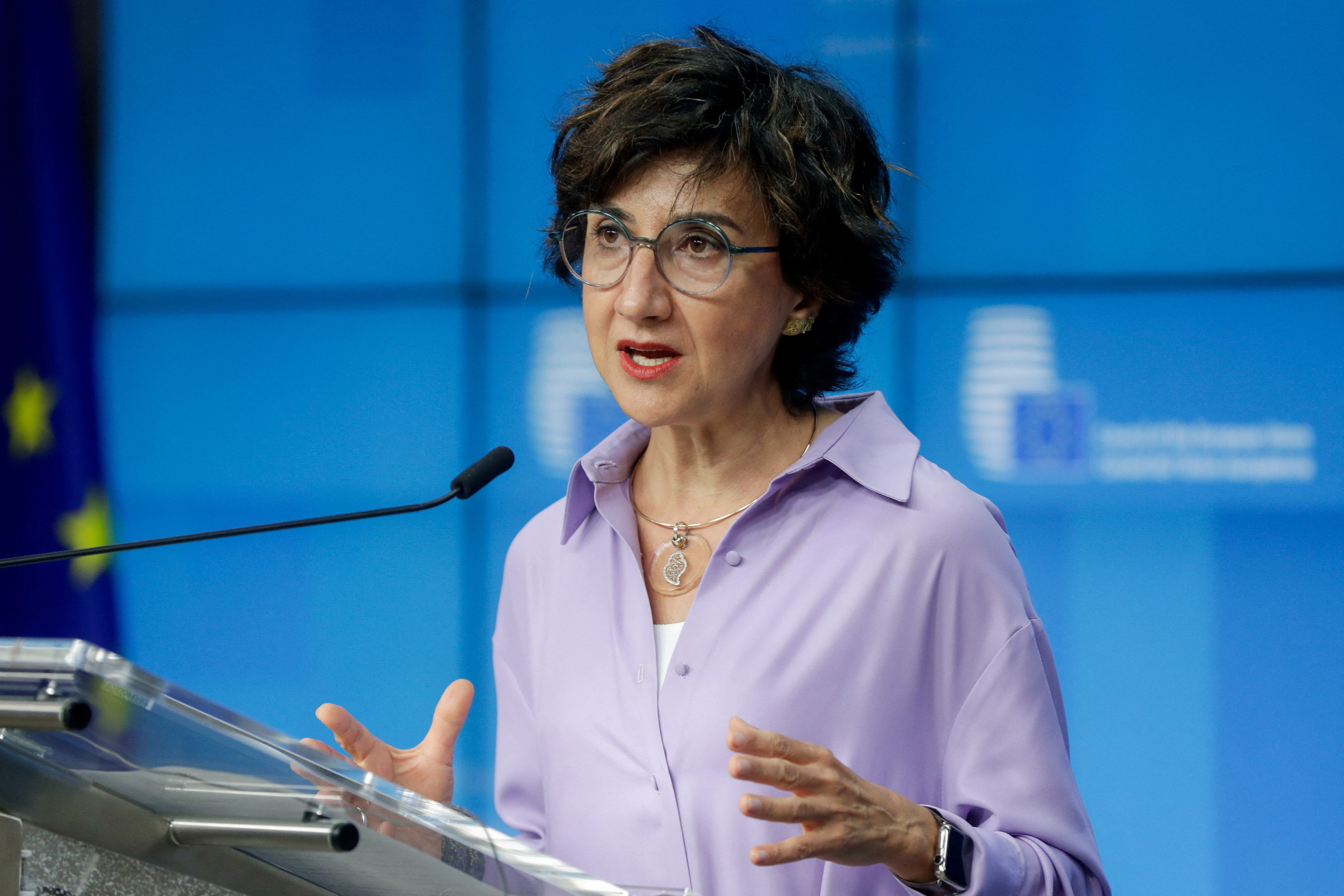 FILE PHOTO: News conference on the Common Agricultural Policy (CAP) at the European Council building in Brussels