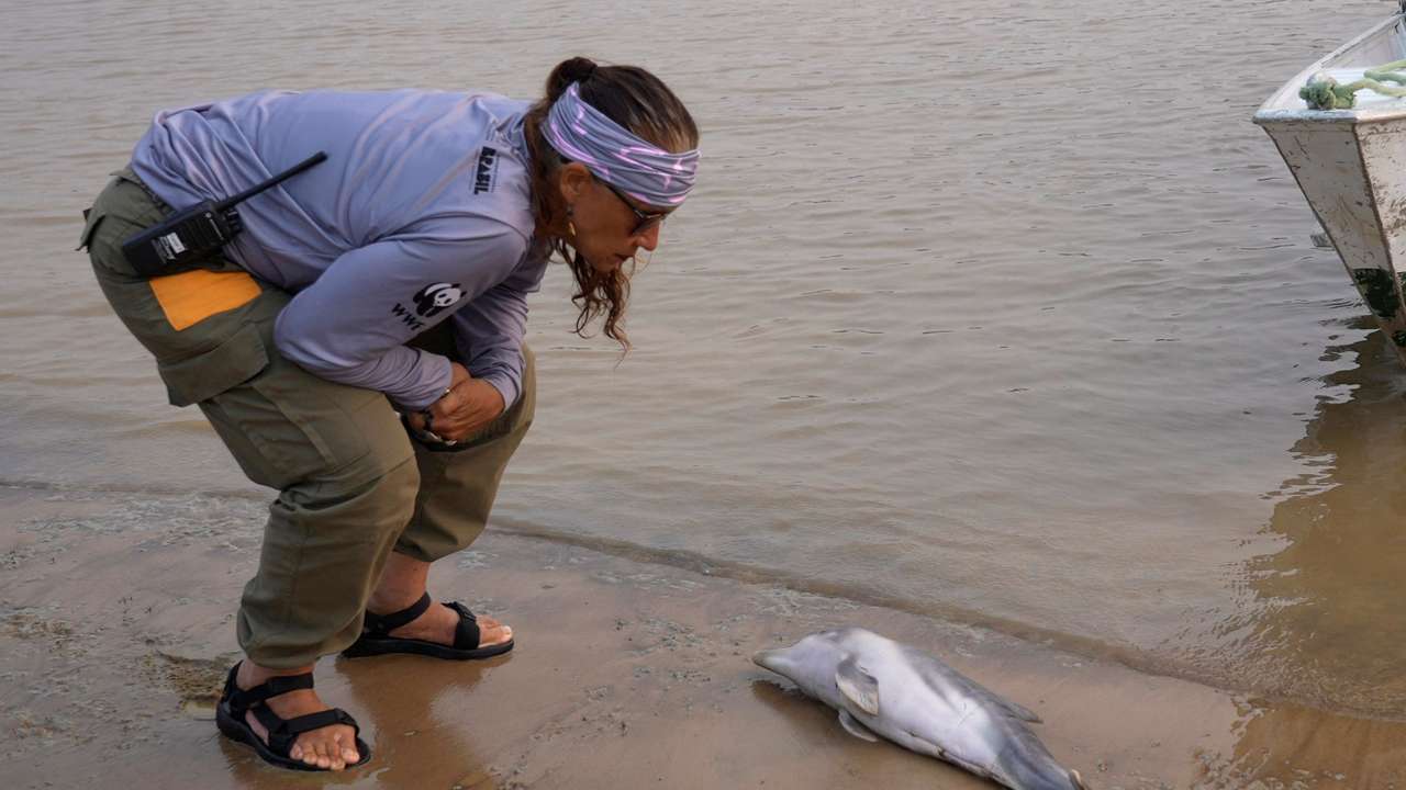 Severe drought hits Amazon rivers