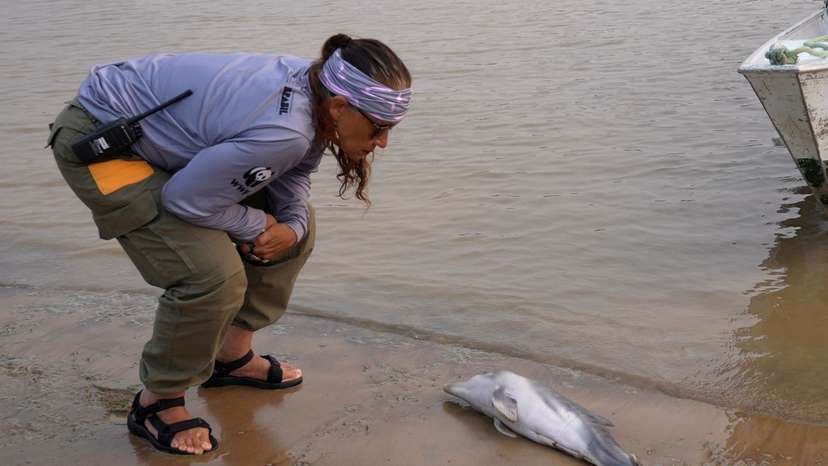 Severe drought hits Amazon rivers
