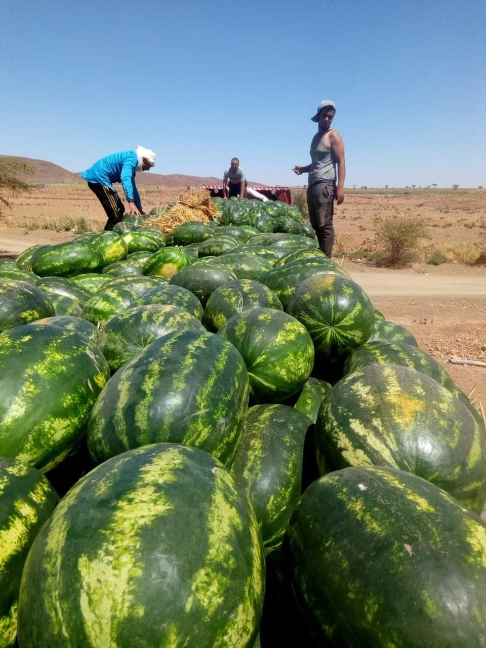 188650222_150460470391053_3028025233108970459_n (1)