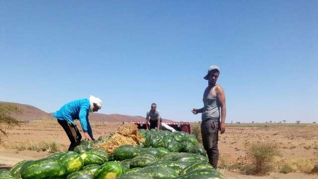 188650222_150460470391053_3028025233108970459_n (1)