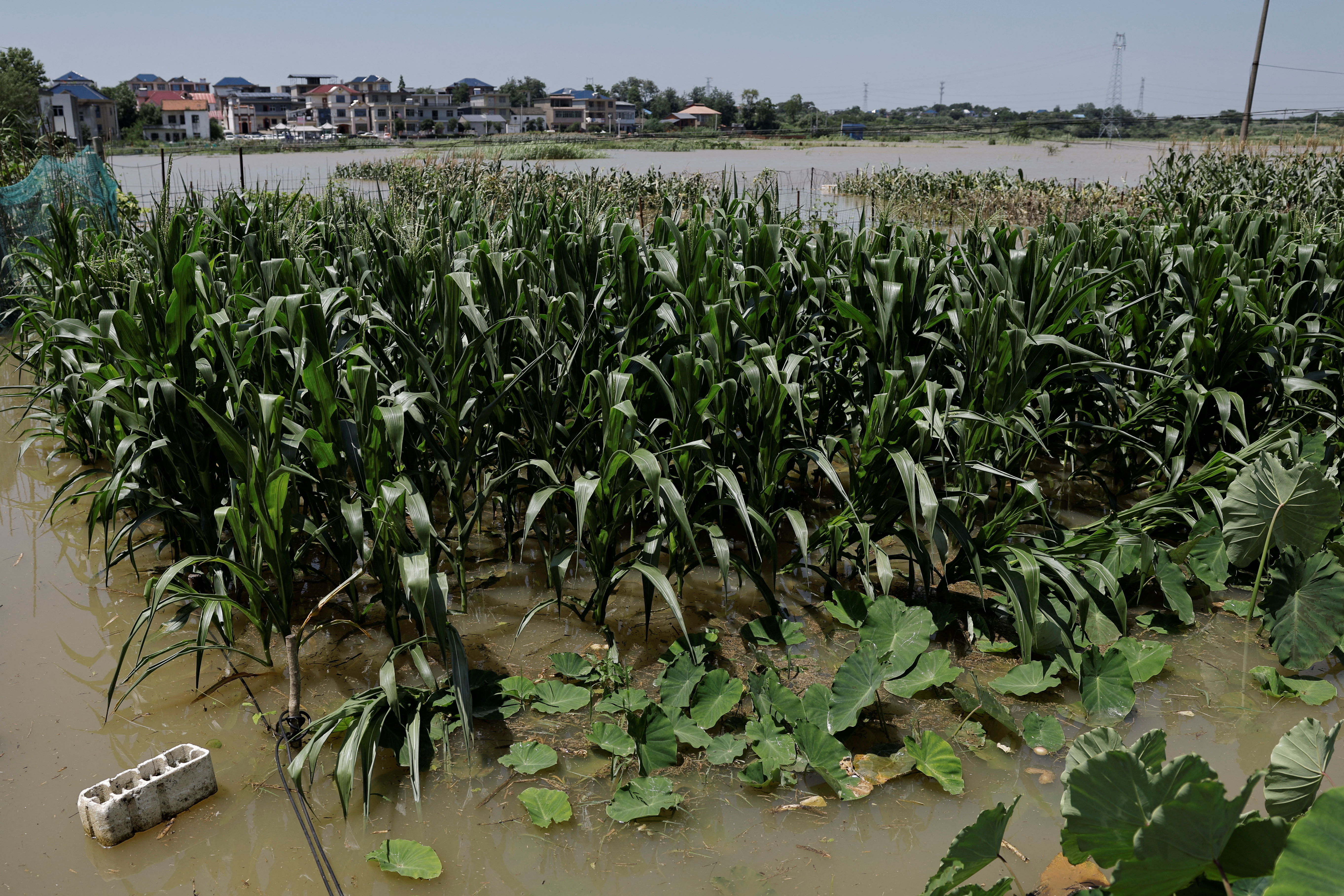 Heavy rainfall and waters from the upstream Yangtze River flooded a town in Hukou county of Jiujiang