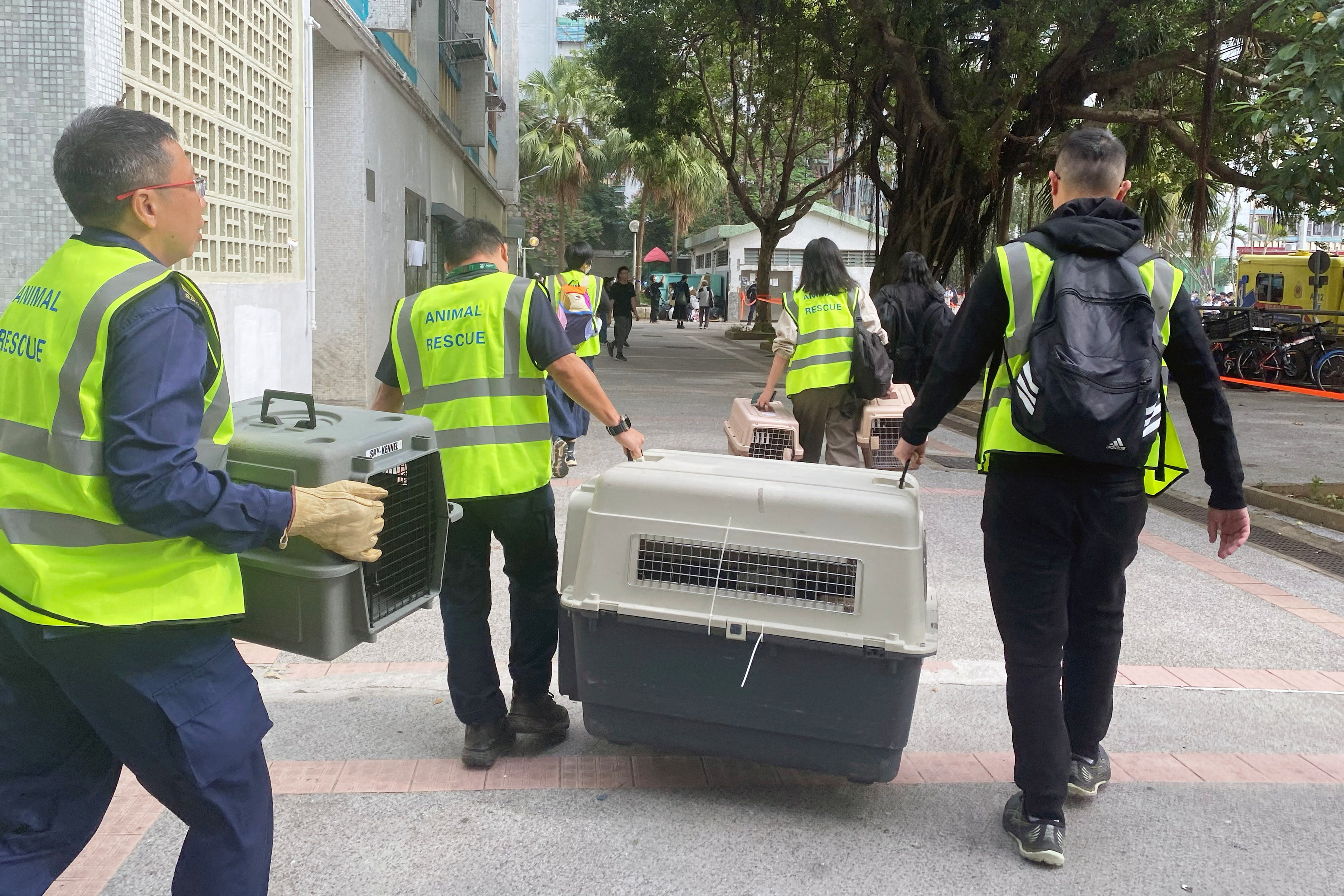 Team arrives with pet carriers to Wang Fuk Court housing complex, where a major fire erupted, in Hong Kong