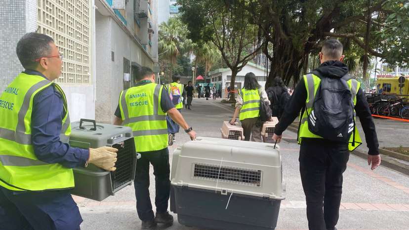 Team arrives with pet carriers to Wang Fuk Court housing complex, where a major fire erupted, in Hong Kong