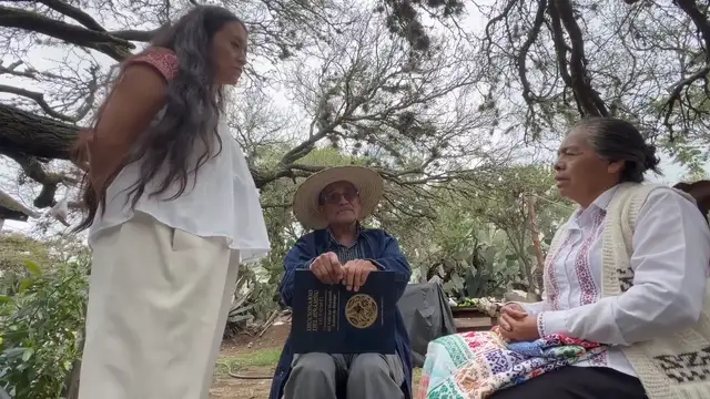Mexico’s codex exhibition revives Indigenous calls for cultural heritage
