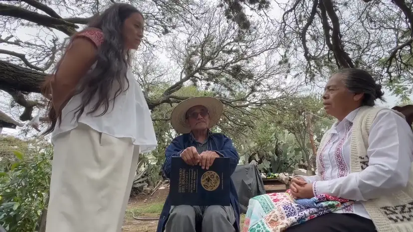 Mexico’s codex exhibition revives Indigenous calls for cultural heritage