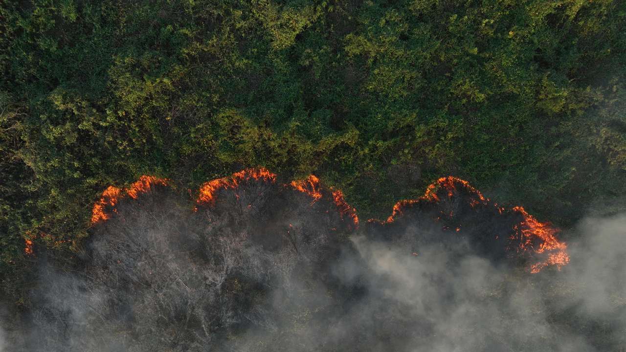 Brazil's tropical wetlands ablaze in massive fires