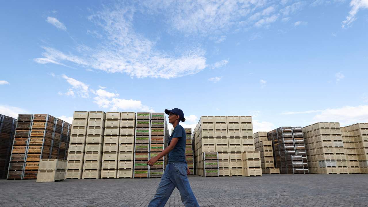 FILE PHOTO: A worker walks past fruit bins in Ceres, South Africa
