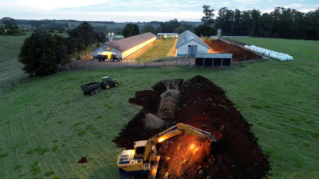 FILE PHOTO: FILE PHOTO: Bird flu in top chicken exporter Brazil triggers trade bans