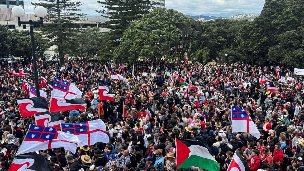 People march to the parliament in protest of the Treaty Principles Bill, in Wellington