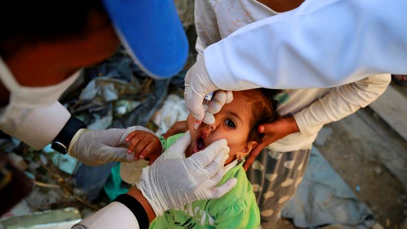 Girl receives a polio vaccine during a three-day immunization campaign in Sanaa