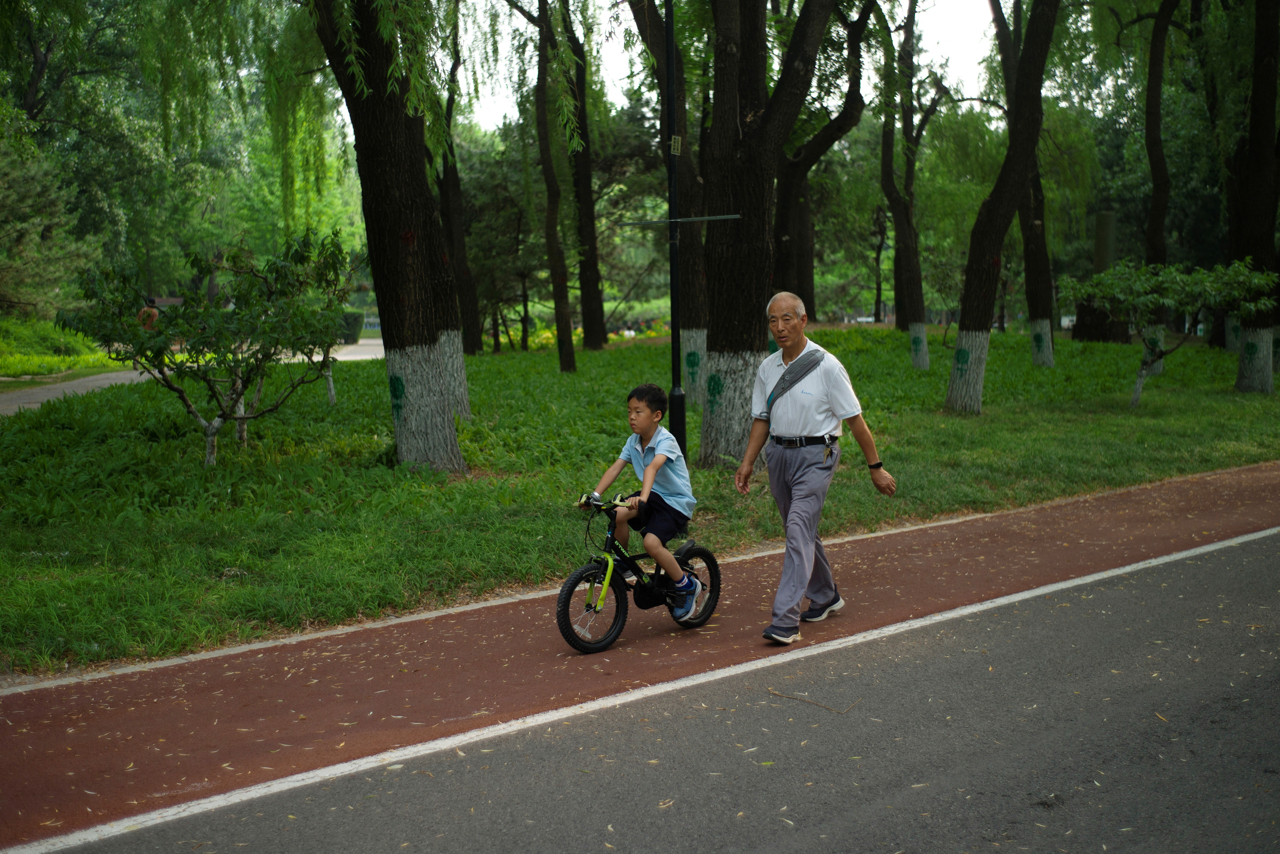 An elderly person walks next to a child at a park on a summer day in Beijing