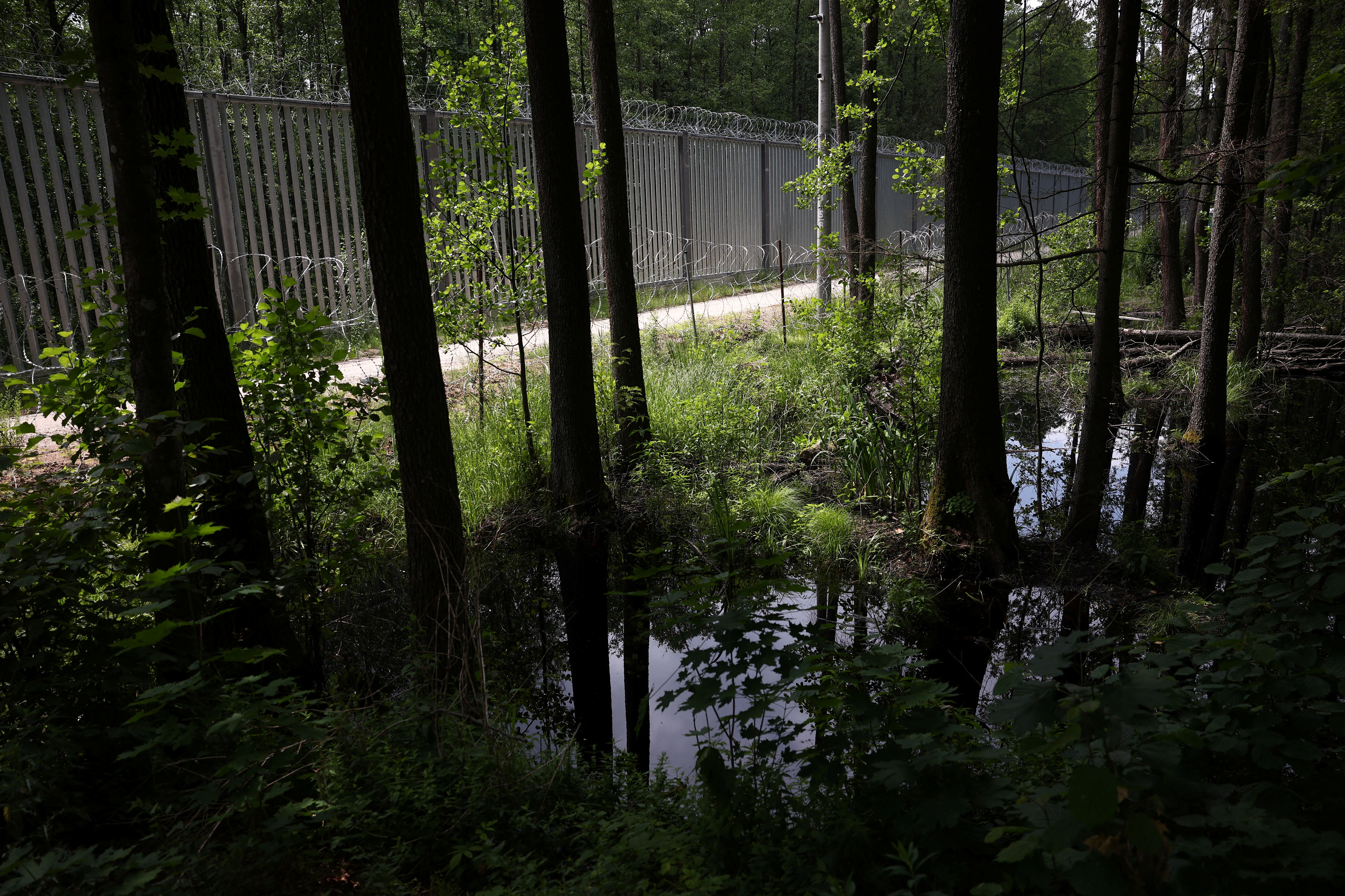 Migrant arrivals at Belarus border prompts possible reintroduction of Poland's buffer zone