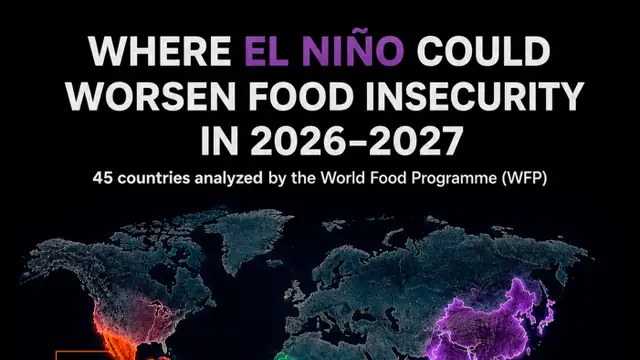 El Niño could push 49 million more people into acute hunger by 2027, WFP warns