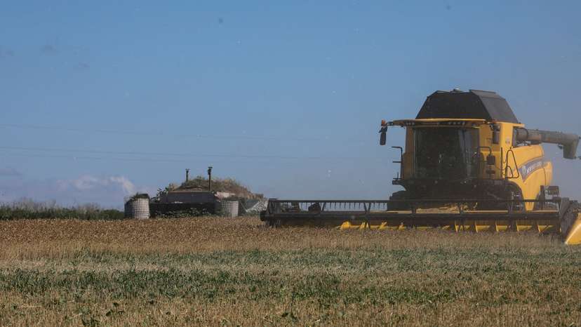 FILE PHOTO: Wheat harvesting in Kharkiv region