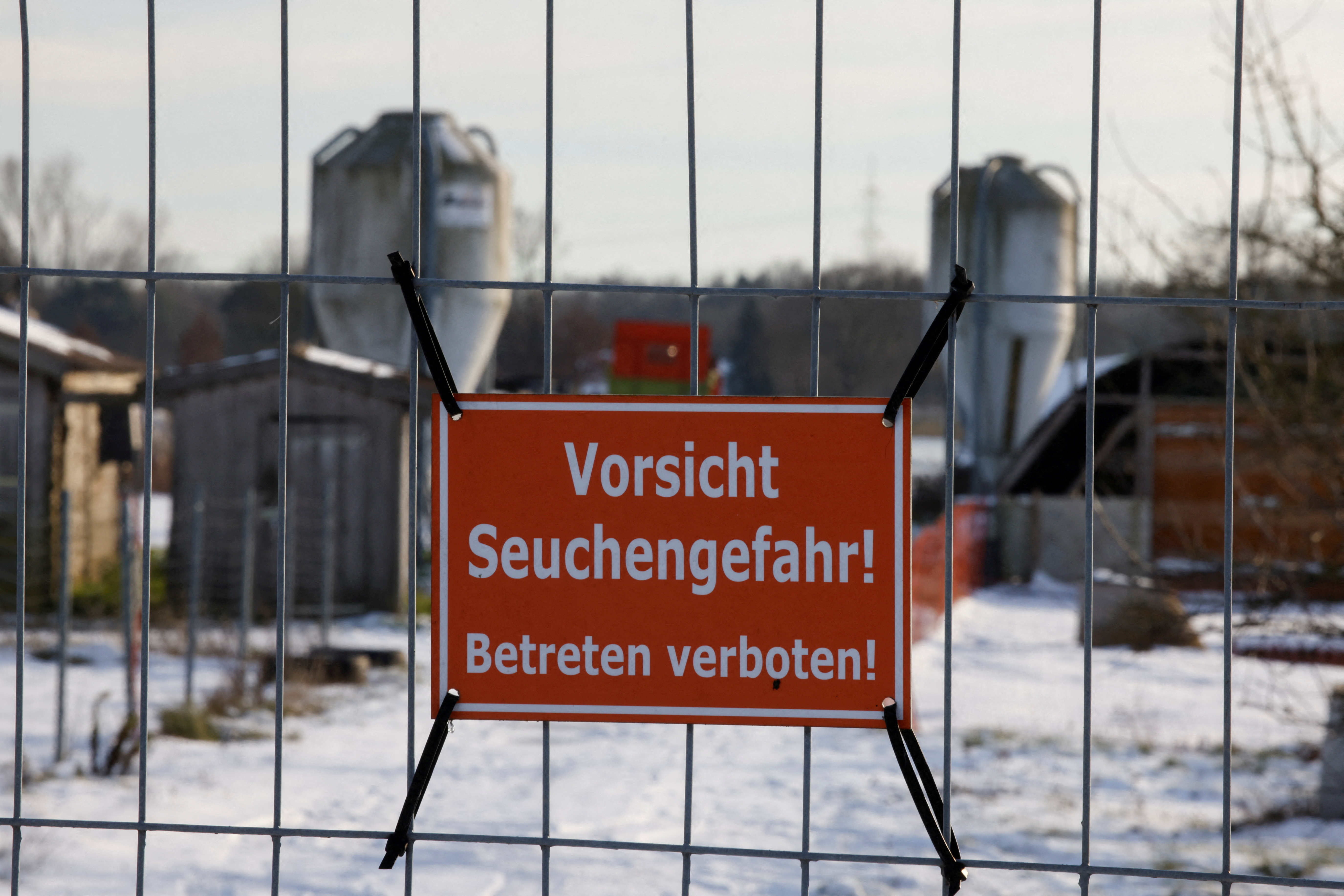 FILE PHOTO: German meat exports face disruption after foot-and-mouth disease case