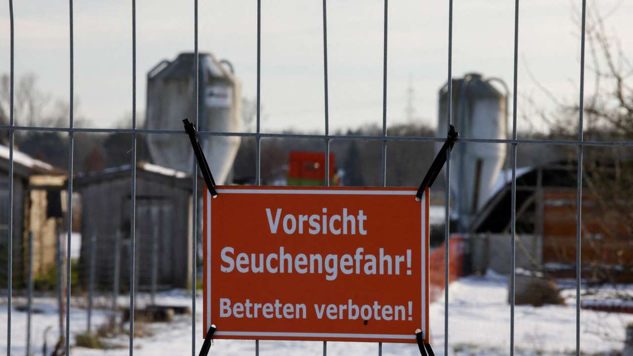 FILE PHOTO: German meat exports face disruption after foot-and-mouth disease case