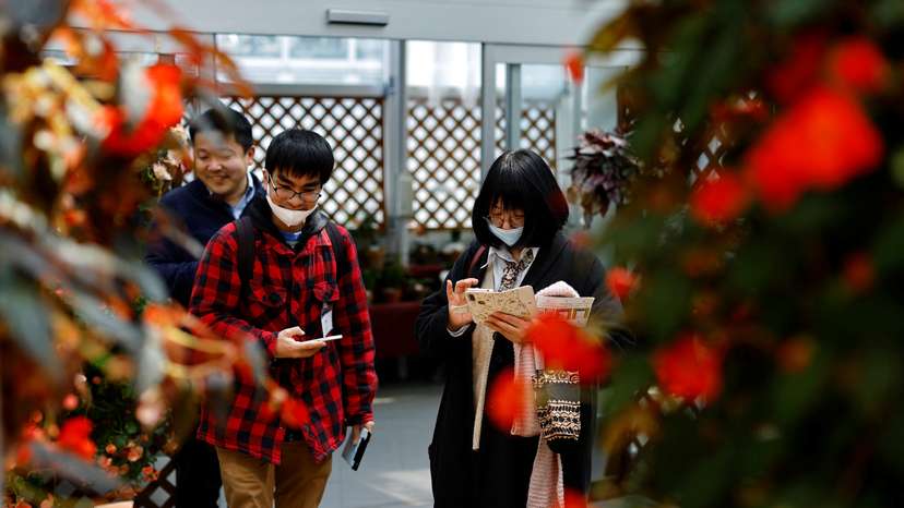 Participants take part in a matchmaking event using mystery solving game, which is organized by Tokyo metropolitan government at Jindai Botanical Gardens in Tokyo