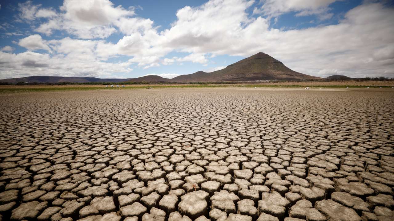 FILE PHOTO: Cracks are seen in the dried up municipal dam in drought-stricken Graaff-Reinet,