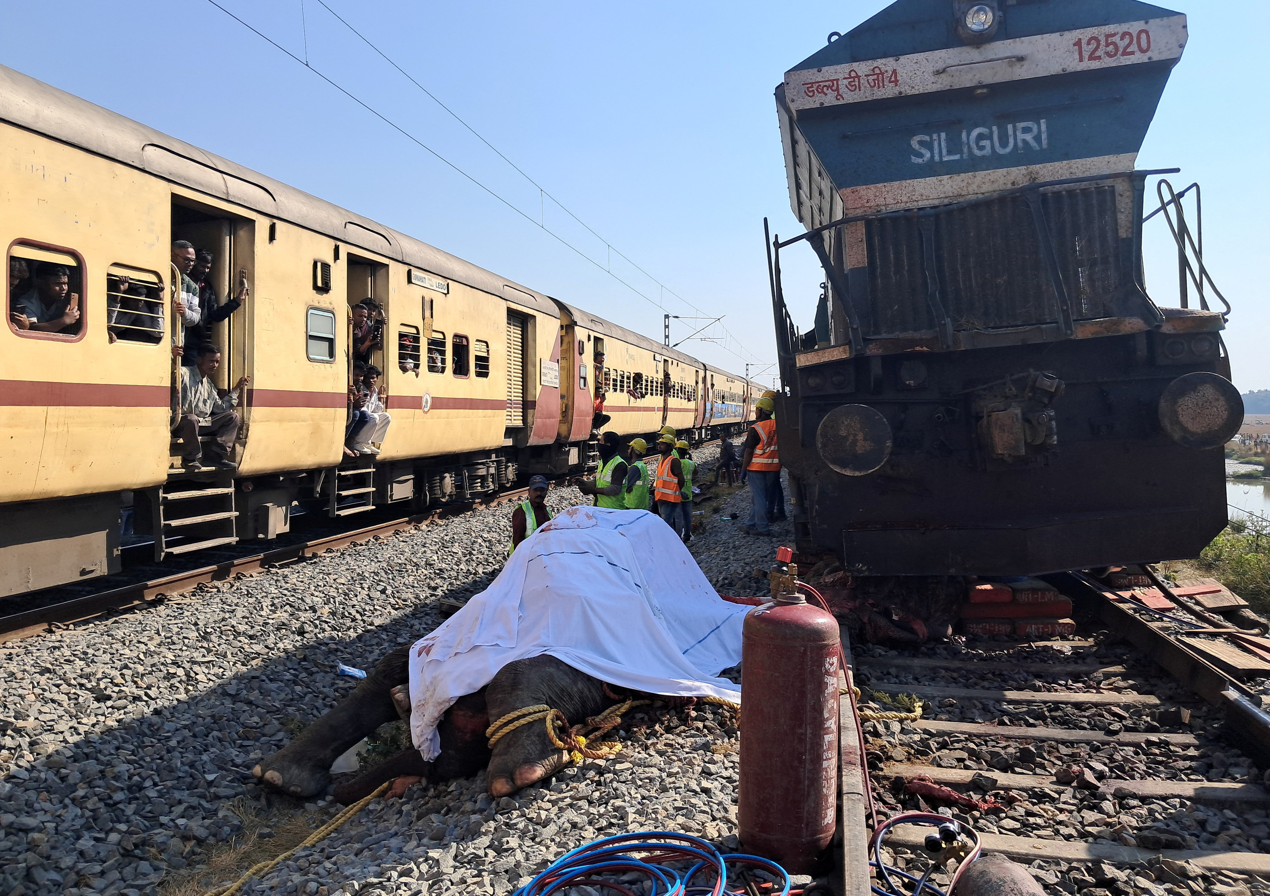 Train passengers use their mobile phones to take photographs of a dead elephant after it was hit by a train in Hojai district