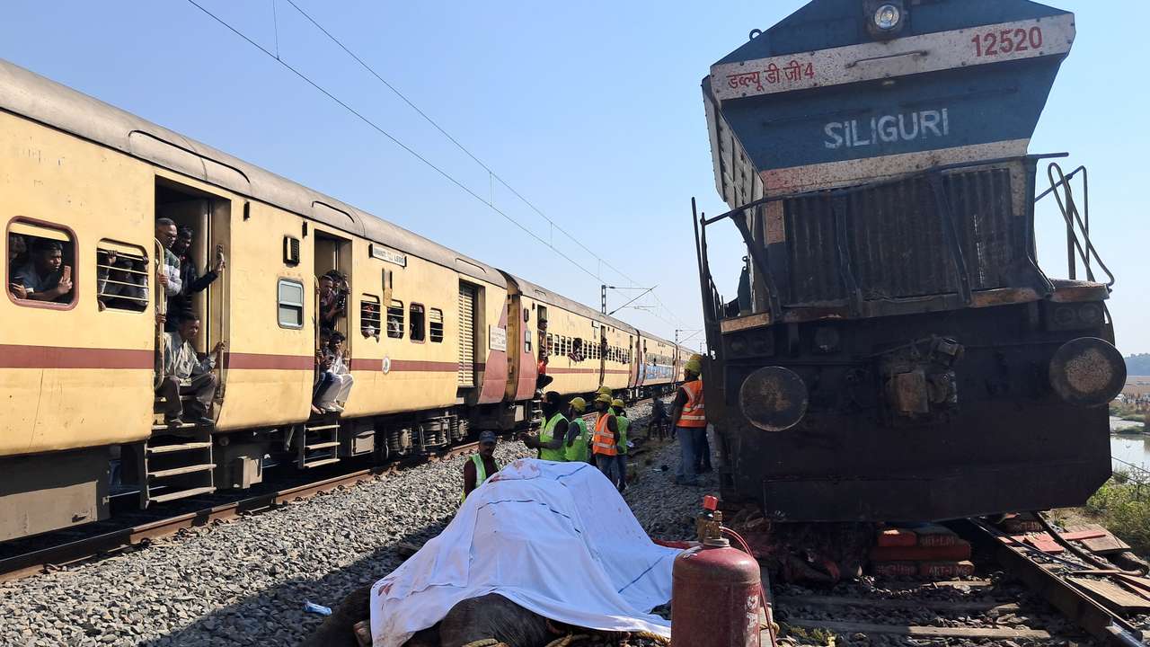 Train passengers use their mobile phones to take photographs of a dead elephant after it was hit by a train in Hojai district
