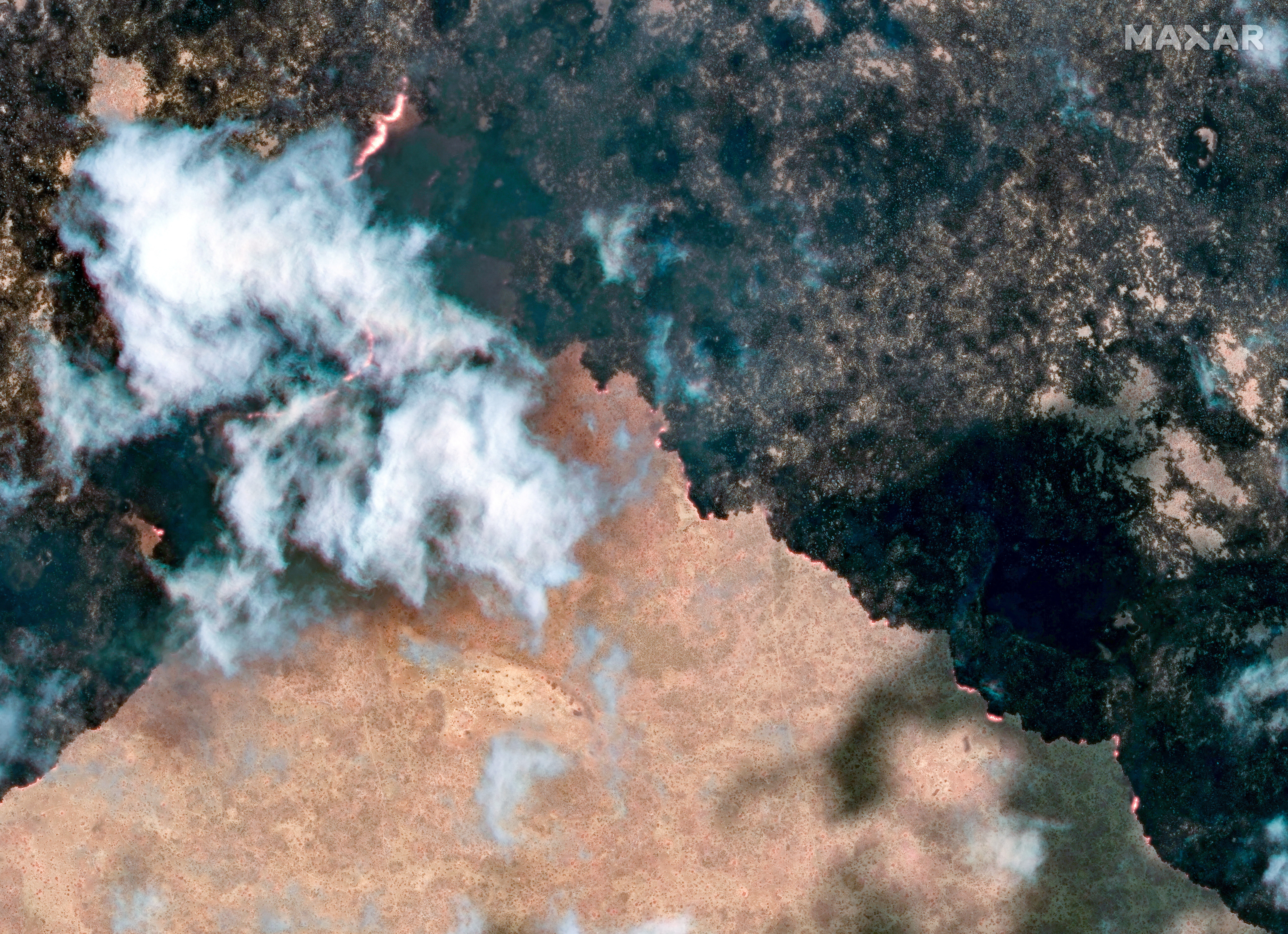 Wildfires ravage a third of Namibia's flagship national park