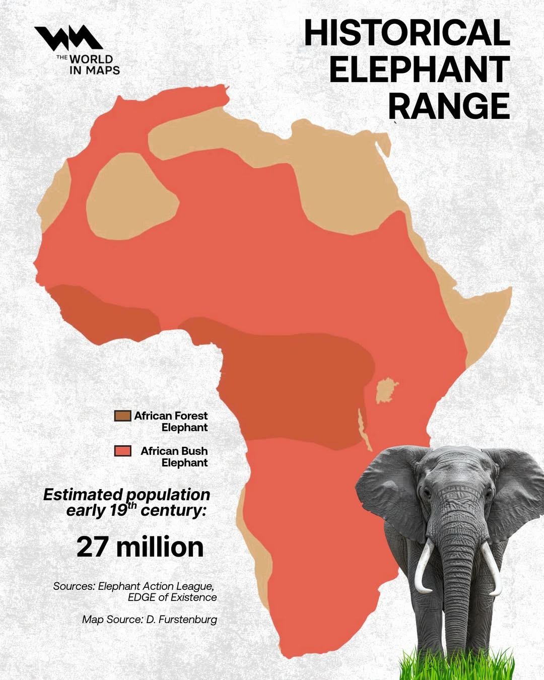 Map shows African elephant’s range and population in the 19th century.Elephants are the largest 