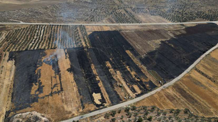 A drone view shows burnt farms, after an Israeli settlers attack in Al Mughayyir near Ramallah