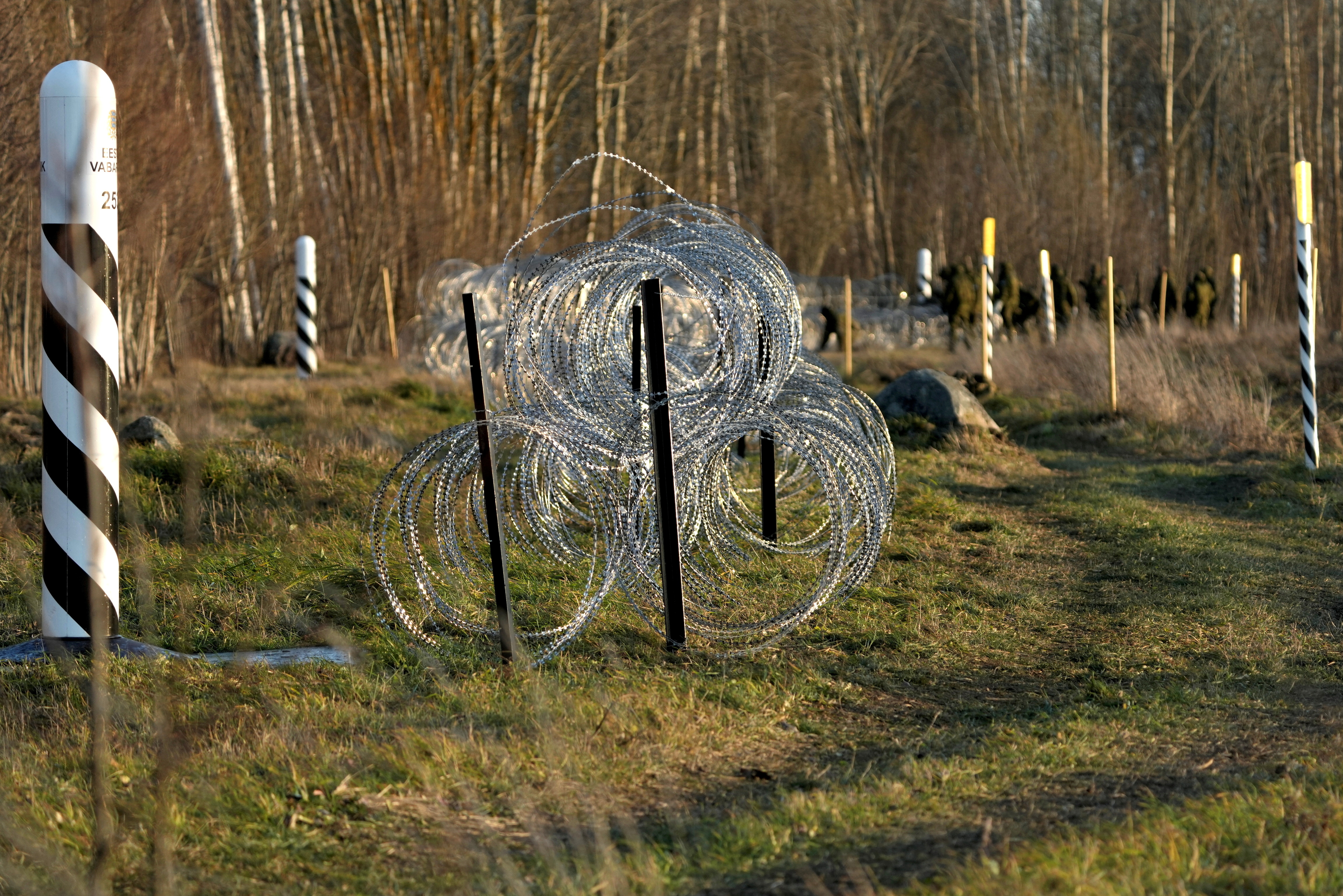 Estonian army reservists build a fence on a border with Russia near Meremae