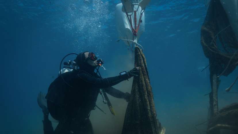 Volunteer divers remove tons of ghost nets smothering the Greek seabed