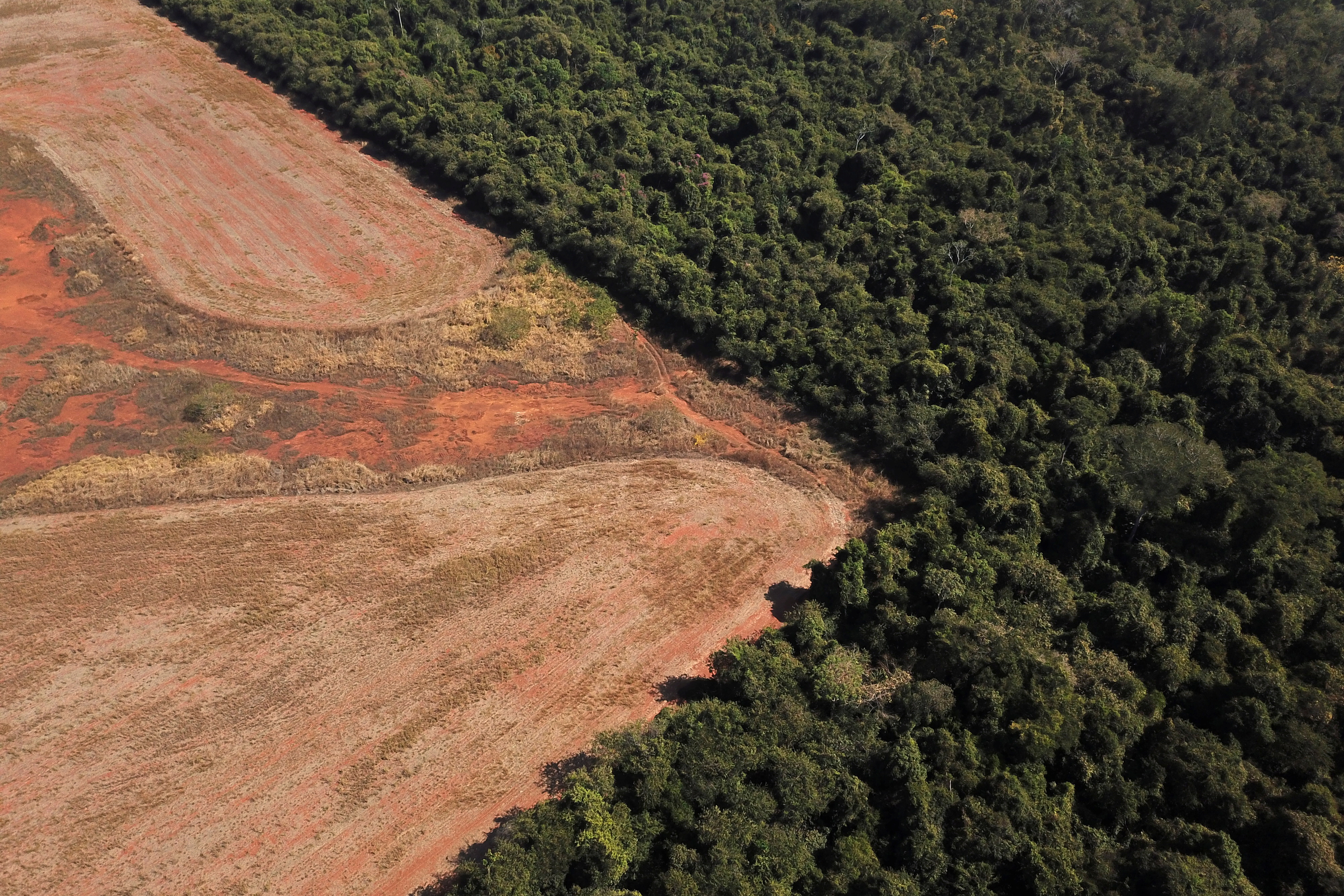 Scientists from the State University of Mato Grosso identify signs of climate change on the border between Amazonia and Cerrado