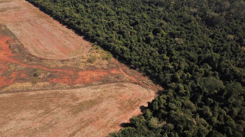 Scientists from the State University of Mato Grosso identify signs of climate change on the border between Amazonia and Cerrado