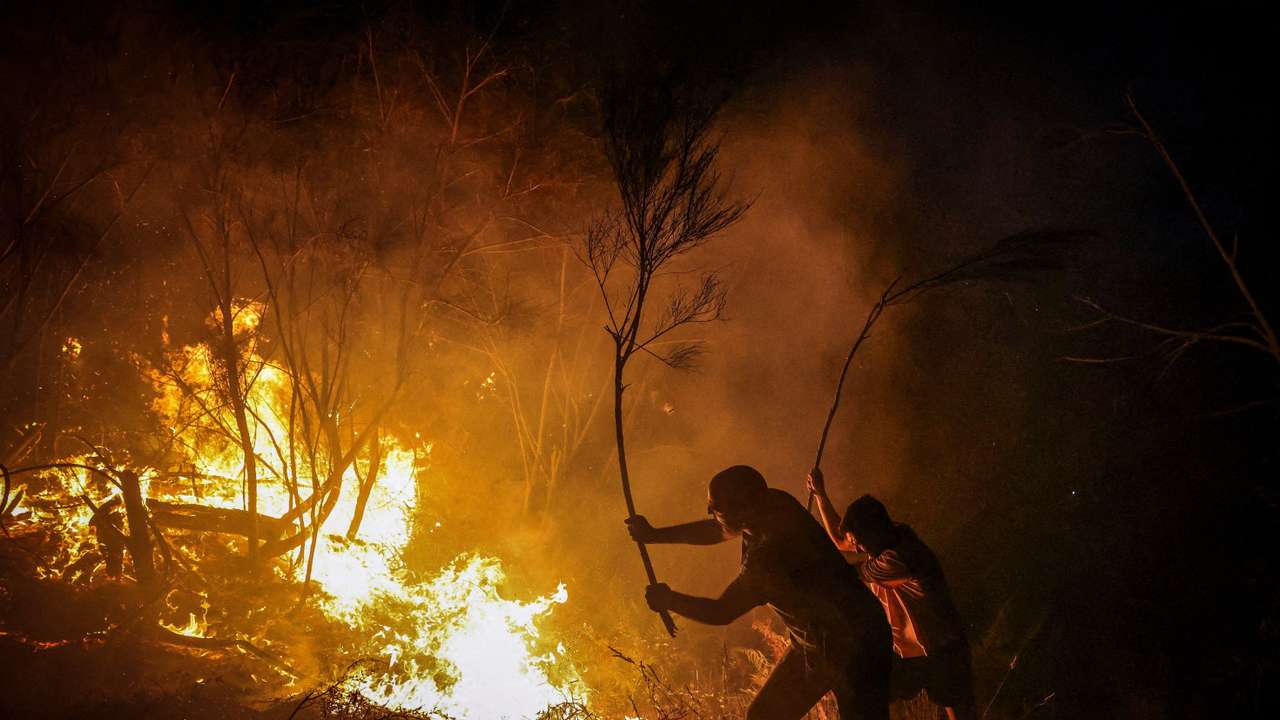 The Wider Image: Villagers struggle with aftermath of intense Iberian wildfires